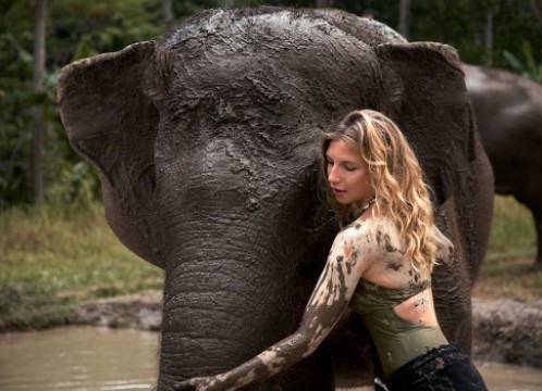 エレファントマッドファン